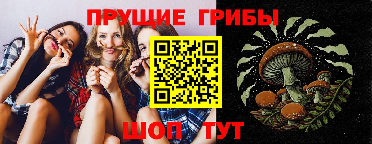 Похвистнево  Галлюциногенные грибы ЛСД  Вход с VPN  Галлюциногенные грибы ЛСД 